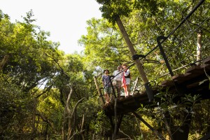 Mara Toto Tree Camp is located in the legendary Maasai Mara National Reserve. It is the perfect camp to take advantage of the famous annual southern migration and the green season migration. This Réserve-Collection Masai Mara Safari Camp offers spectacular views of the Maasai Mara National Reserve and overlooks the Ntiakitiak River.